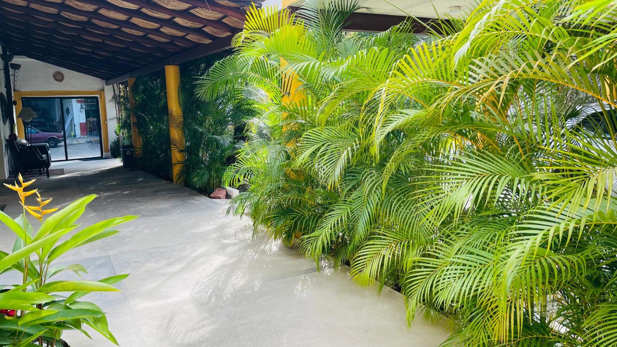 Hotel Boutique Ixaya Puerto Vallarta Exterior foto